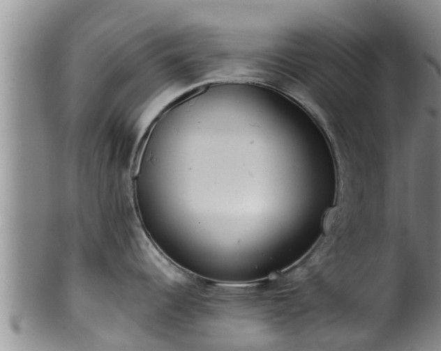 X0000100881344200806271128