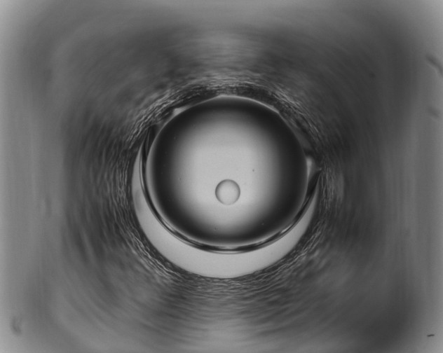 X0000100881348200806271127