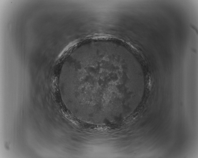 X0000100881351200806271127