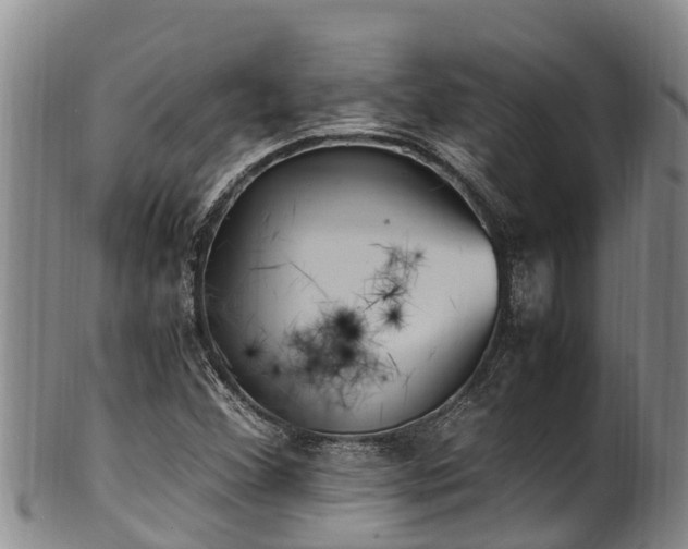 X0000100881356200806271127