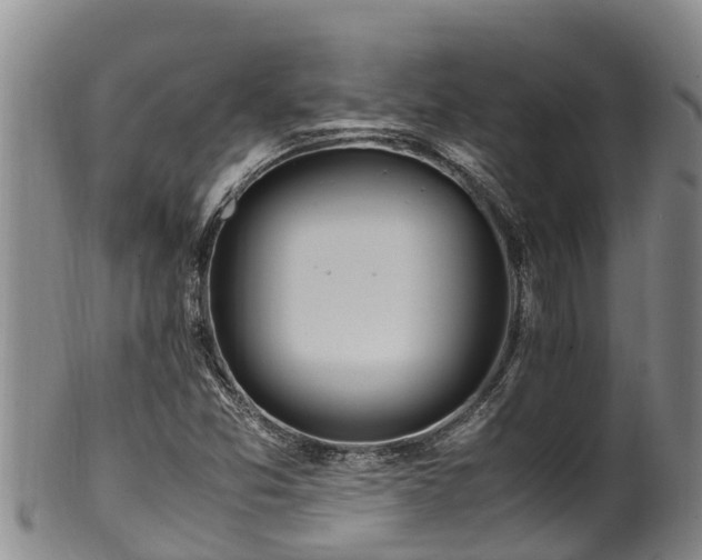 X0000100881357200806271127