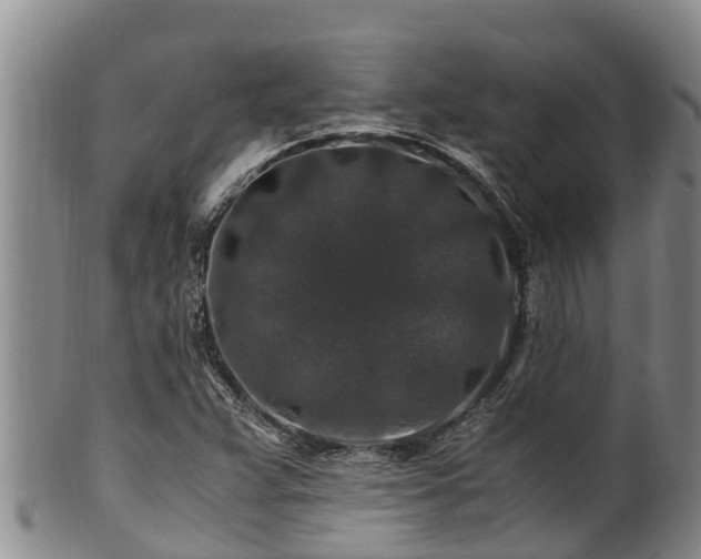 X0000100881359200806271127