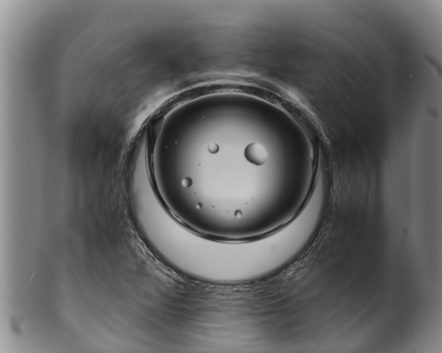 X0000100881360200806271127