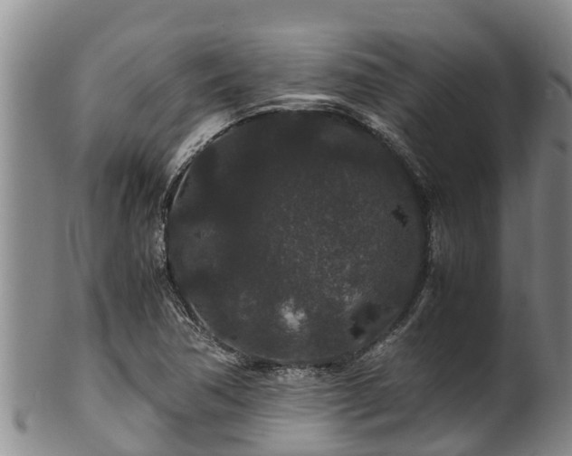 X0000100881362200806271127