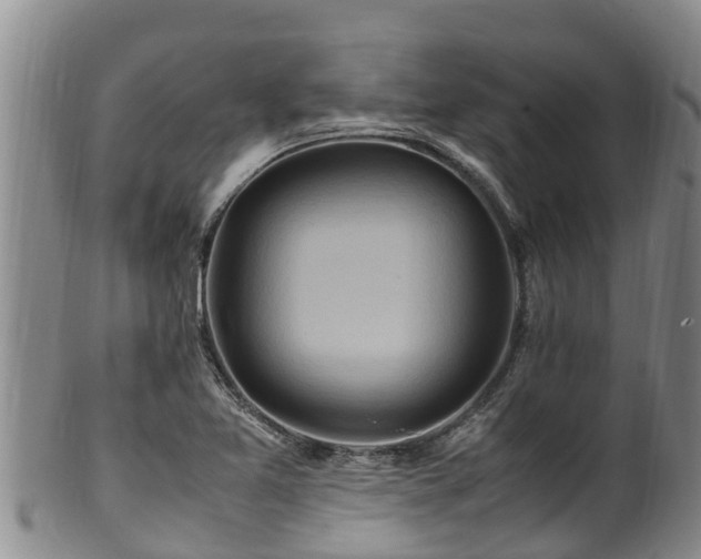 X0000100881365200806271127