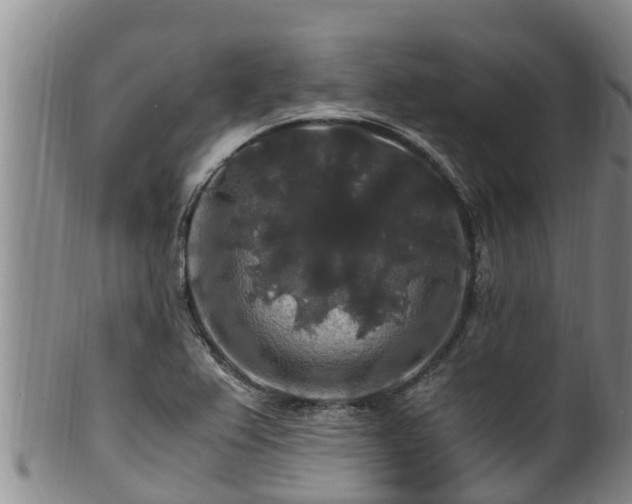 X0000100881367200806271127