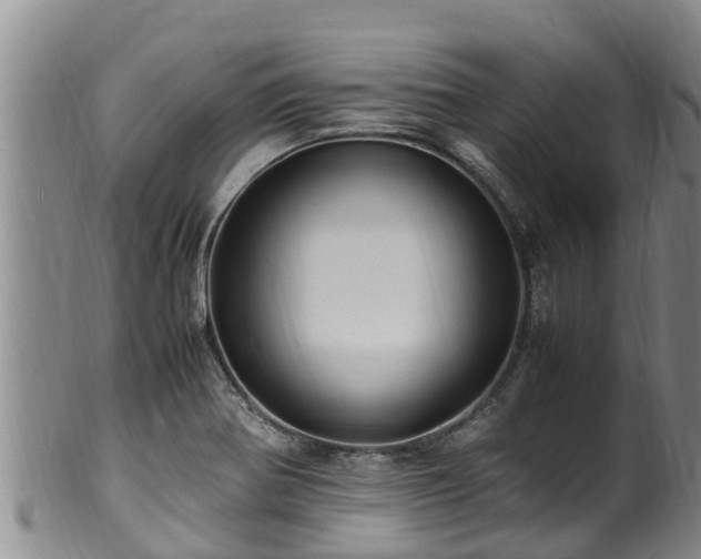 X0000100881370200806271127