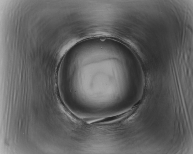 X0000100881373200806271127