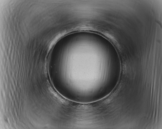 X0000100881374200806271127