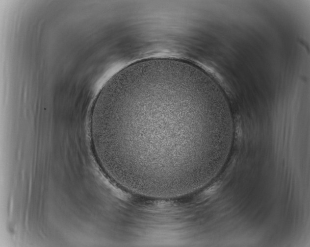 X0000100881375200806271127