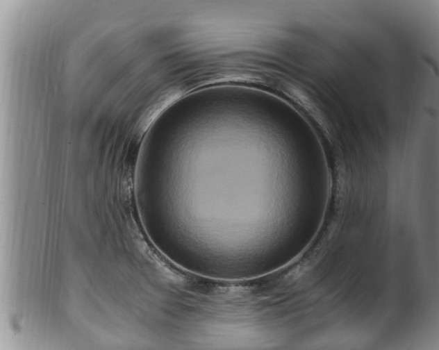 X0000100881377200806271126