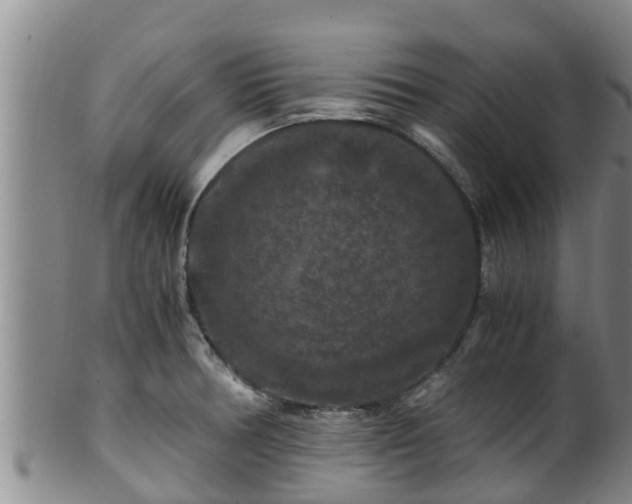 X0000100881378200806271126