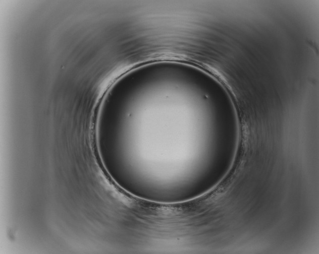 X0000100881379200806271126