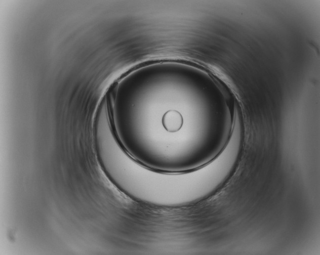 X0000100881380200806271126