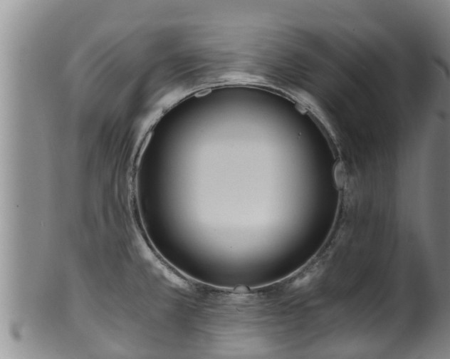 X0000100881381200806271126