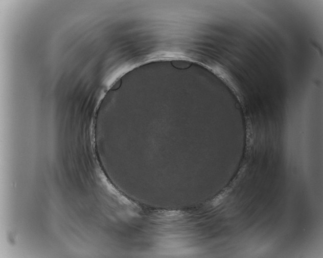 X0000100881382200806271126