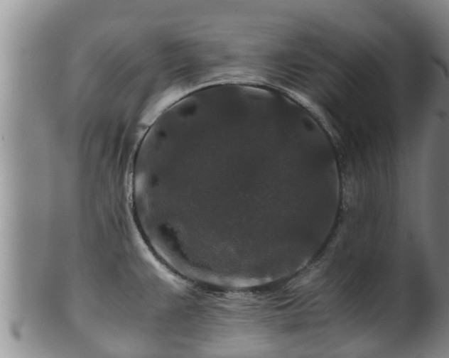 X0000100881383200806271126