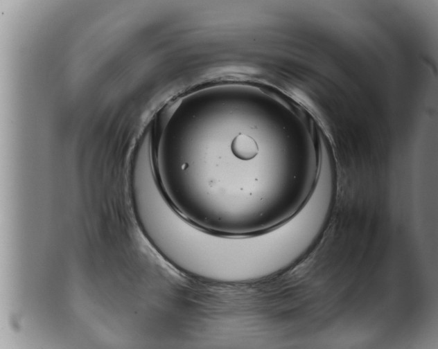 X0000100881384200806271126