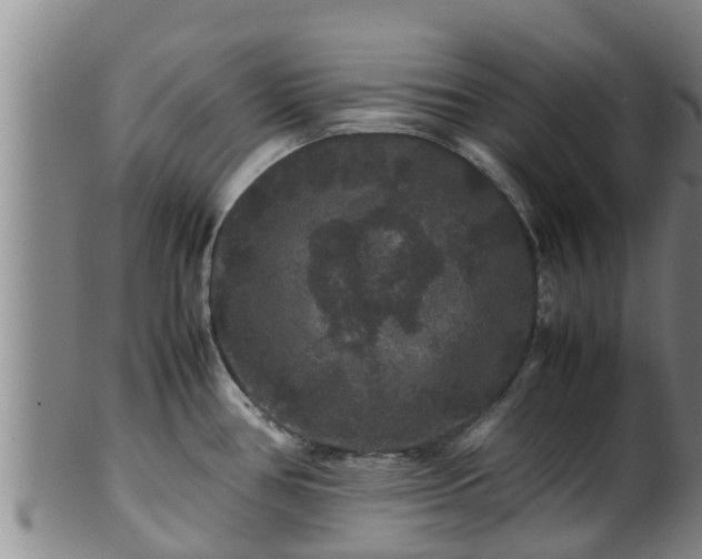 X0000100881386200806271126