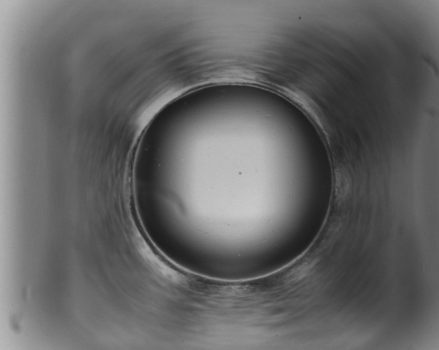 X0000100881387200806271126