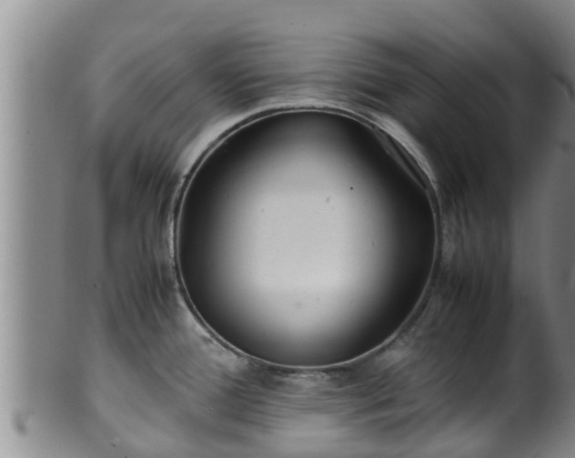 X0000100881388200806271126