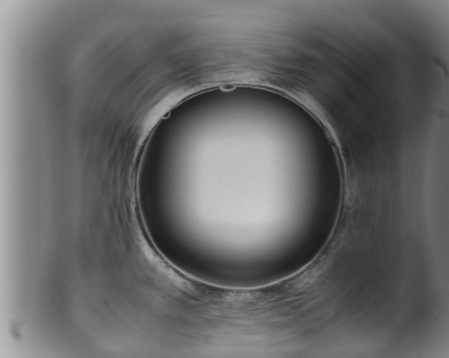 X0000100881389200806271126