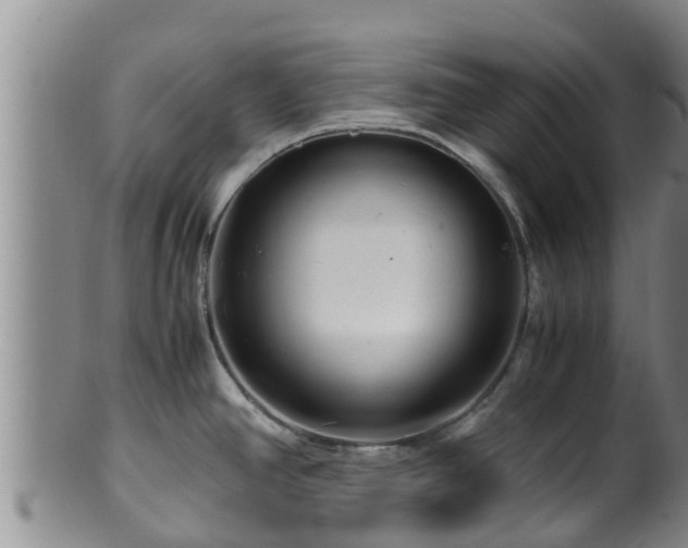 X0000100881390200806271126