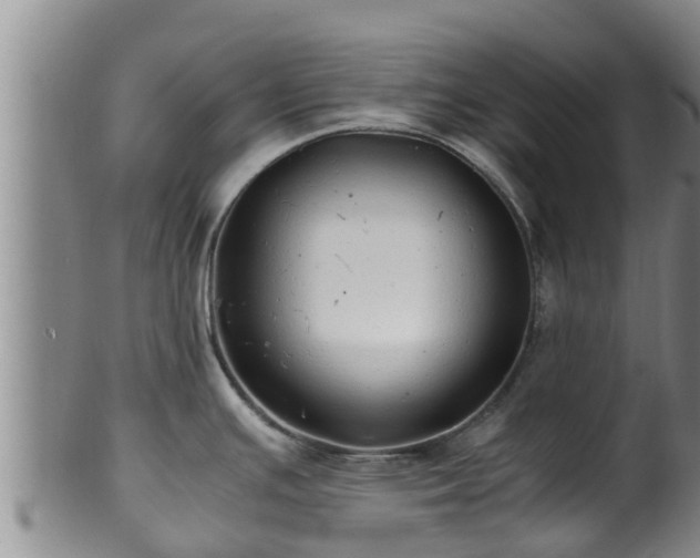 X0000100881391200806271126