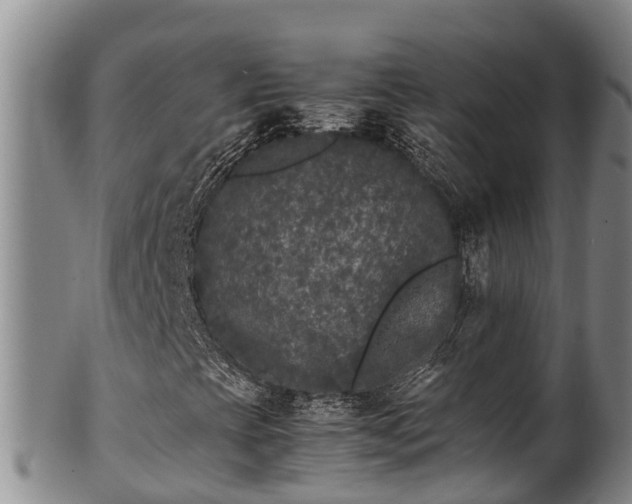 X0000100881393200806271126