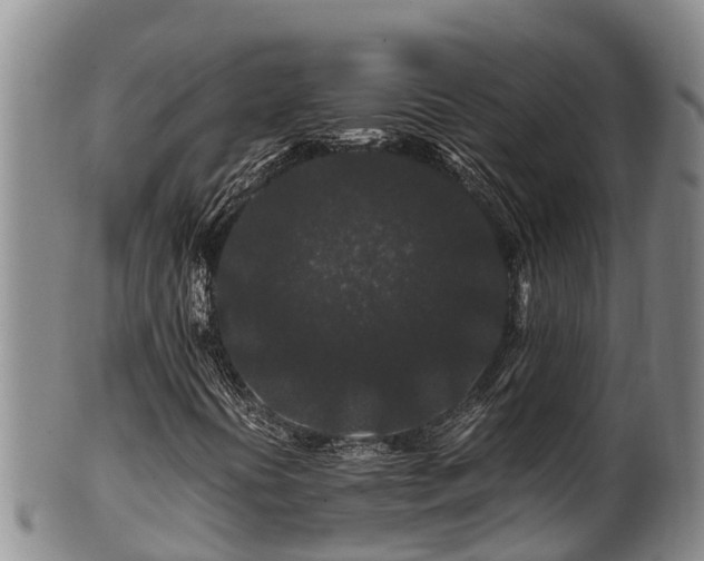 X0000100881394200806271126