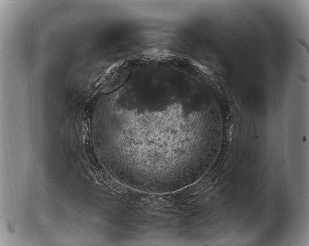 X0000100881397200806271126