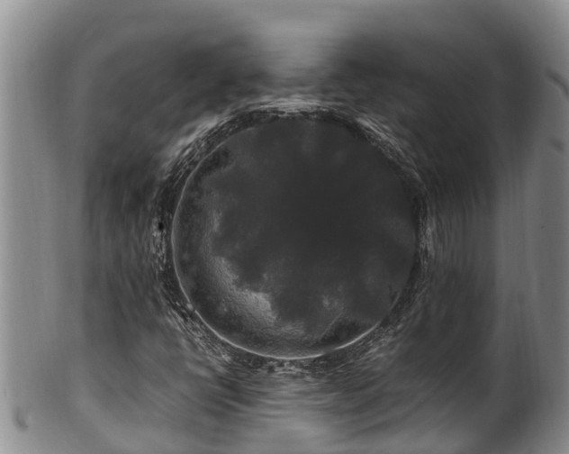 X0000100881398200806271126