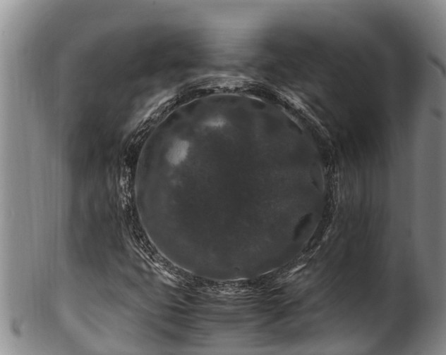 X0000100881399200806271126