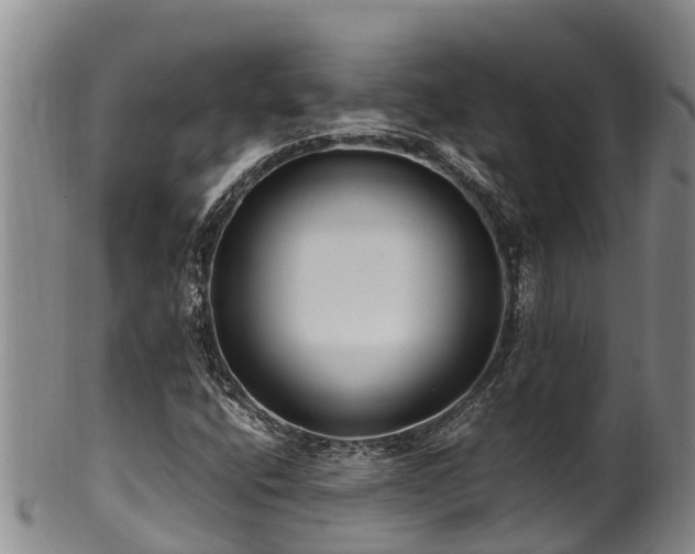 X0000100881400200806271126