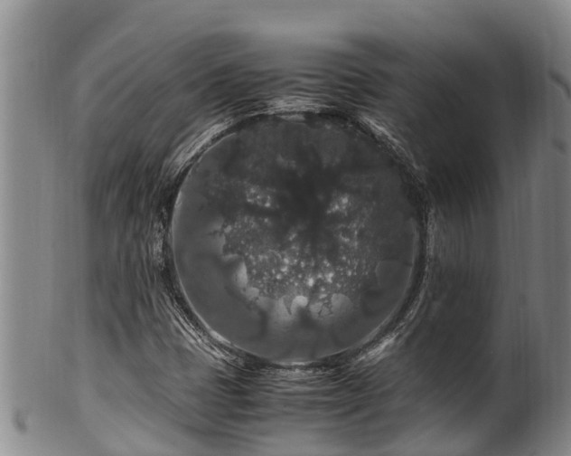 X0000100881401200806271126