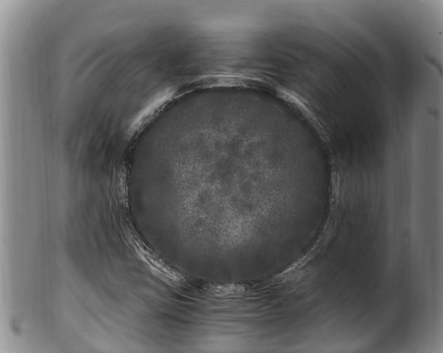 X0000100881403200806271126