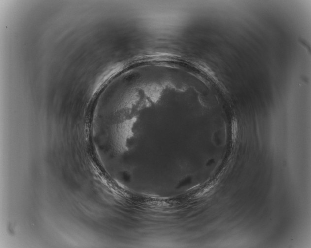 X0000100881405200806271126