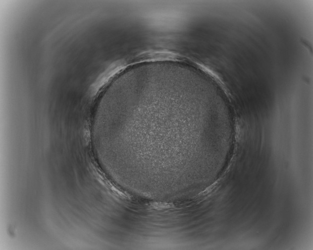 X0000100881407200806271126