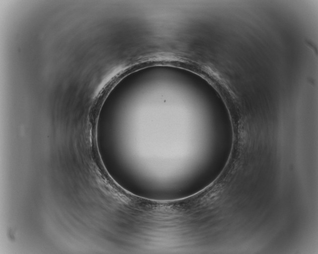 X0000100881408200806271126