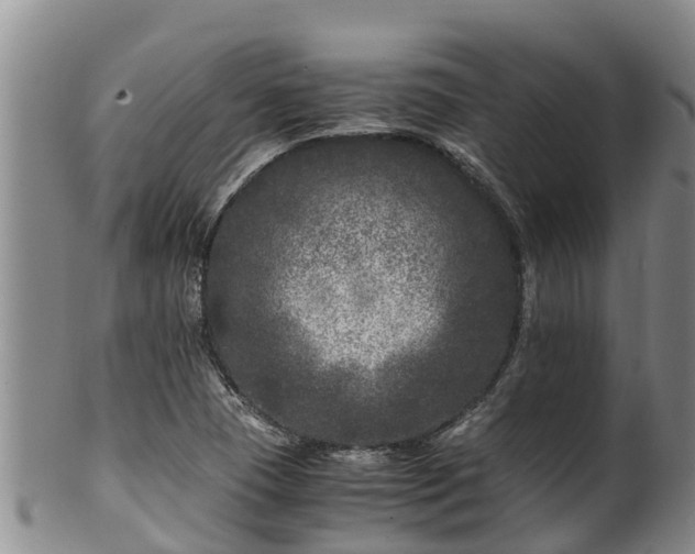 X0000100881409200806271126