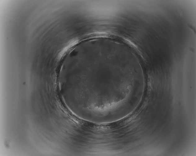 X0000100881411200806271126