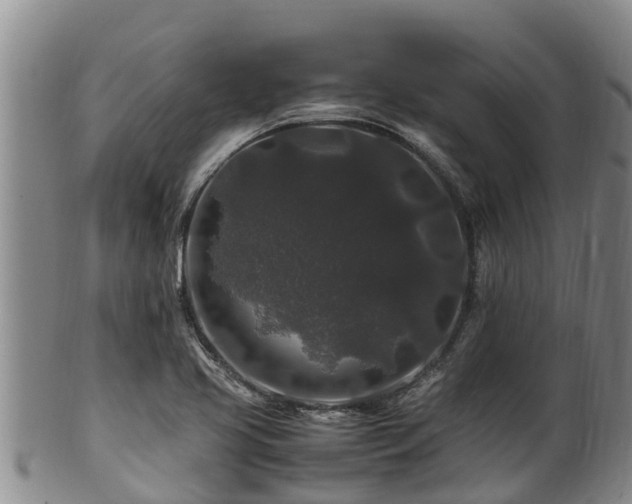 X0000100881413200806271126