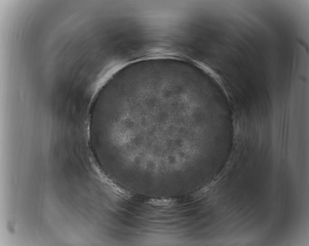 X0000100881415200806271126