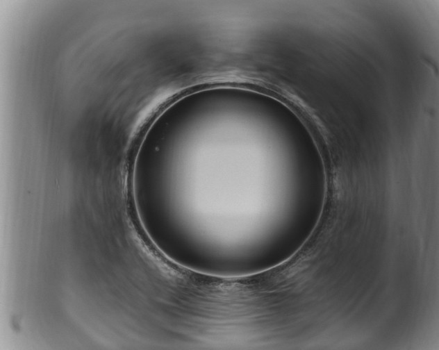 X0000100881416200806271126