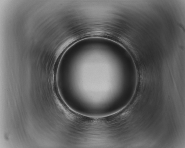 X0000100881418200806271126