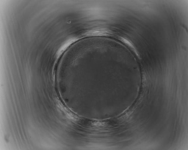 X0000100881419200806271126