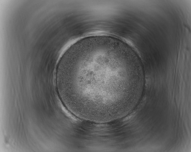 X0000100881421200806271126