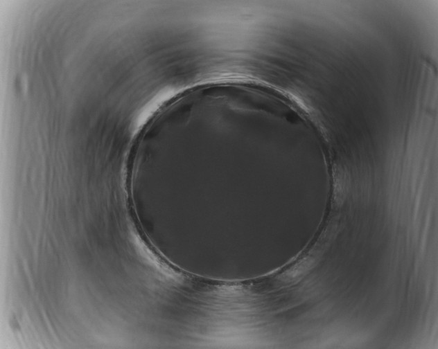 X0000100881422200806271126