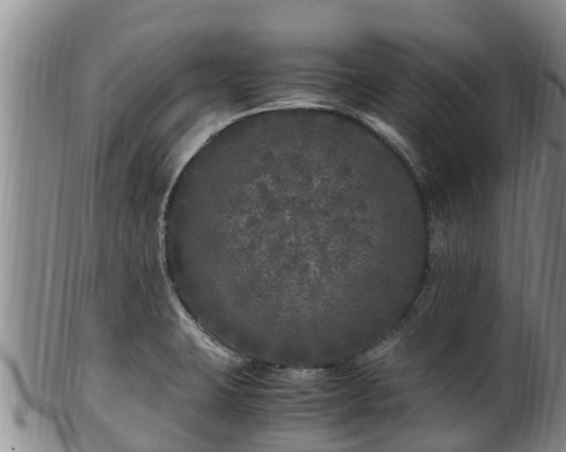 X0000100881423200806271126