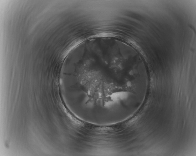 X0000100881425200806271126